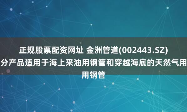 正规股票配资网址 金洲管道(002443.SZ)：部分产品适用于海上采油用钢管和穿越海底的天然气用钢管