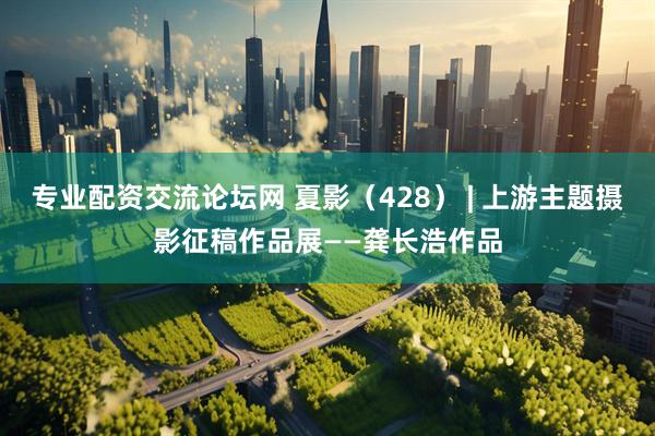 专业配资交流论坛网 夏影（428） | 上游主题摄影征稿作品展——龚长浩作品